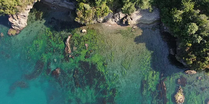 Trabzon'daki bu doğal koylar güzelliğiyle hayran bırakıyor! 