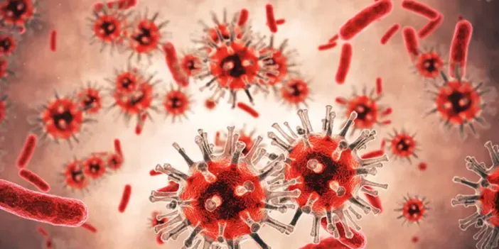 Chikungunya Virüsü nedir, nasıl bulaşır? belirtileri neler?