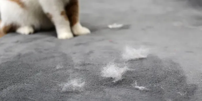Akciğerine kedi tüyü kaçtığı için hayatını kaybettiği öne sürülen Okan Diköz’ün ölüm nedeni açıklandı