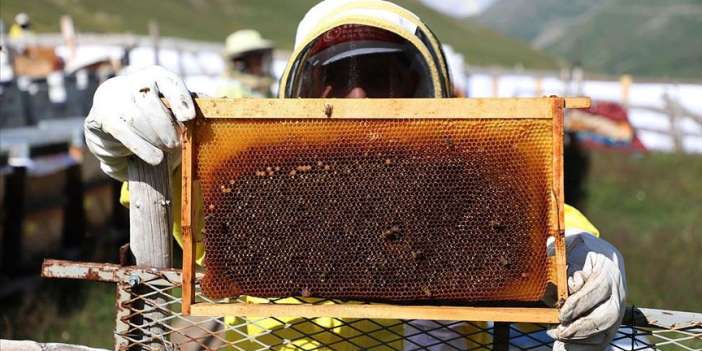 Anzer balı kilo fiyatı