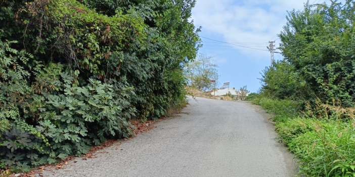 trabzon-koyler-mahalle-oldu