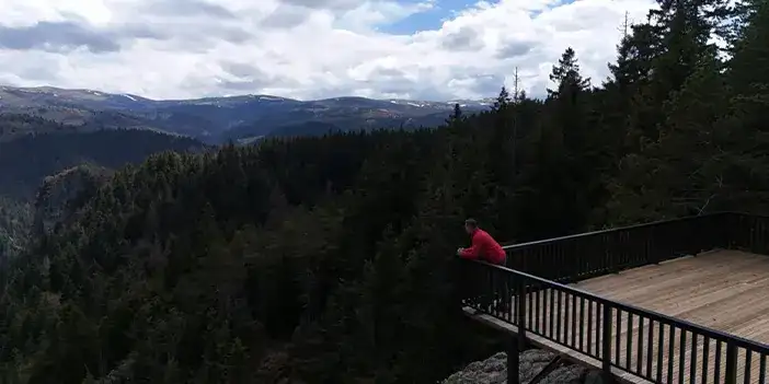 ordu-tersaasssssssssss