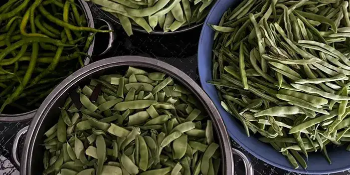 bayburt-tursuuu-hazirlihgi