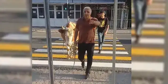 gumushane-yaya-gecidi