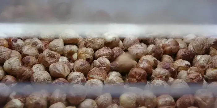 findik-kurutma-trabzon