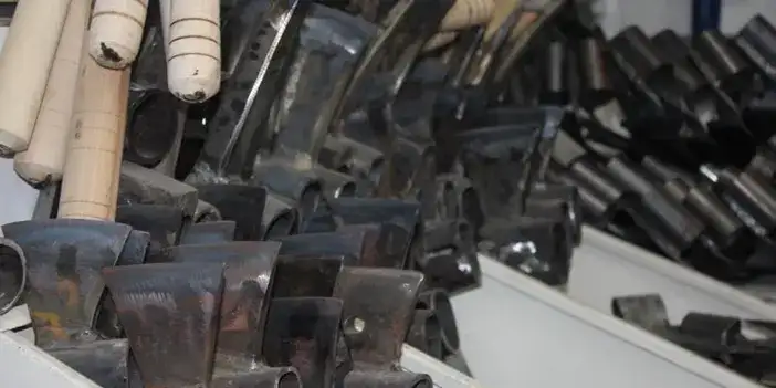 samsn-celige-hayat-vdrityor