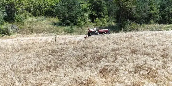 atil-arazi-can-cvdrdi