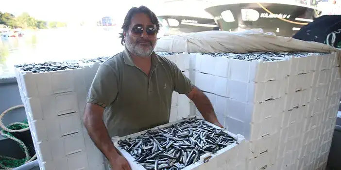 ordudaa-hamsi-bereketo