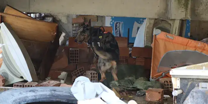 samsusuhda-deprem-tathikati