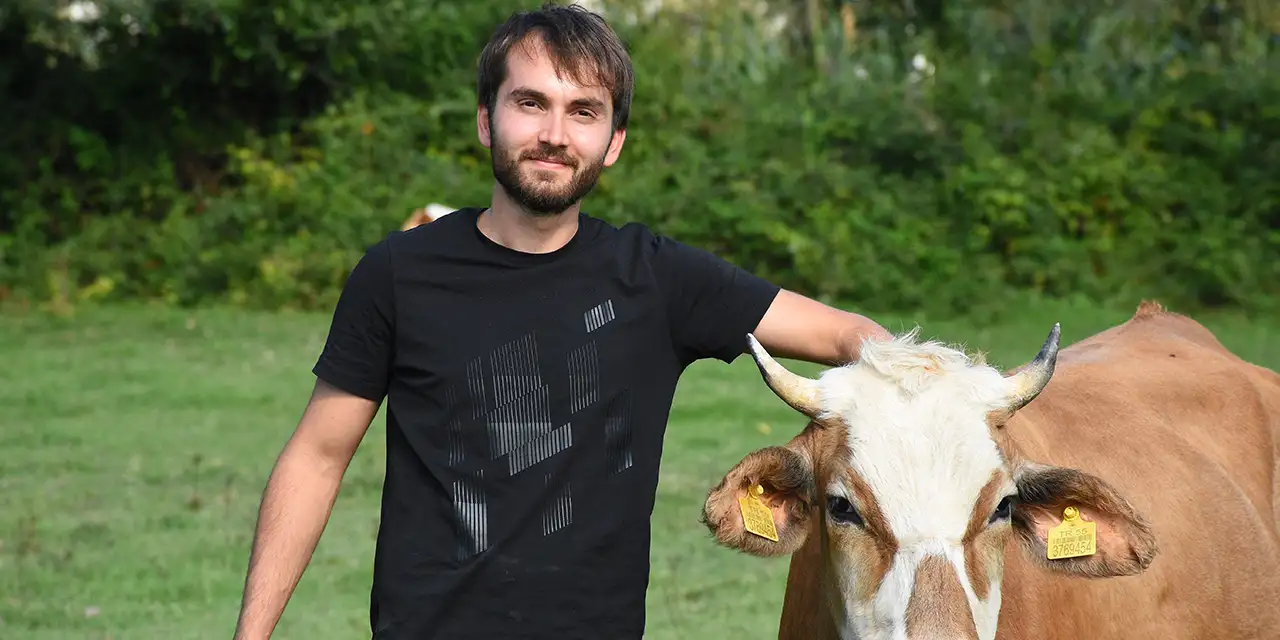 iskur-inekler-samsun