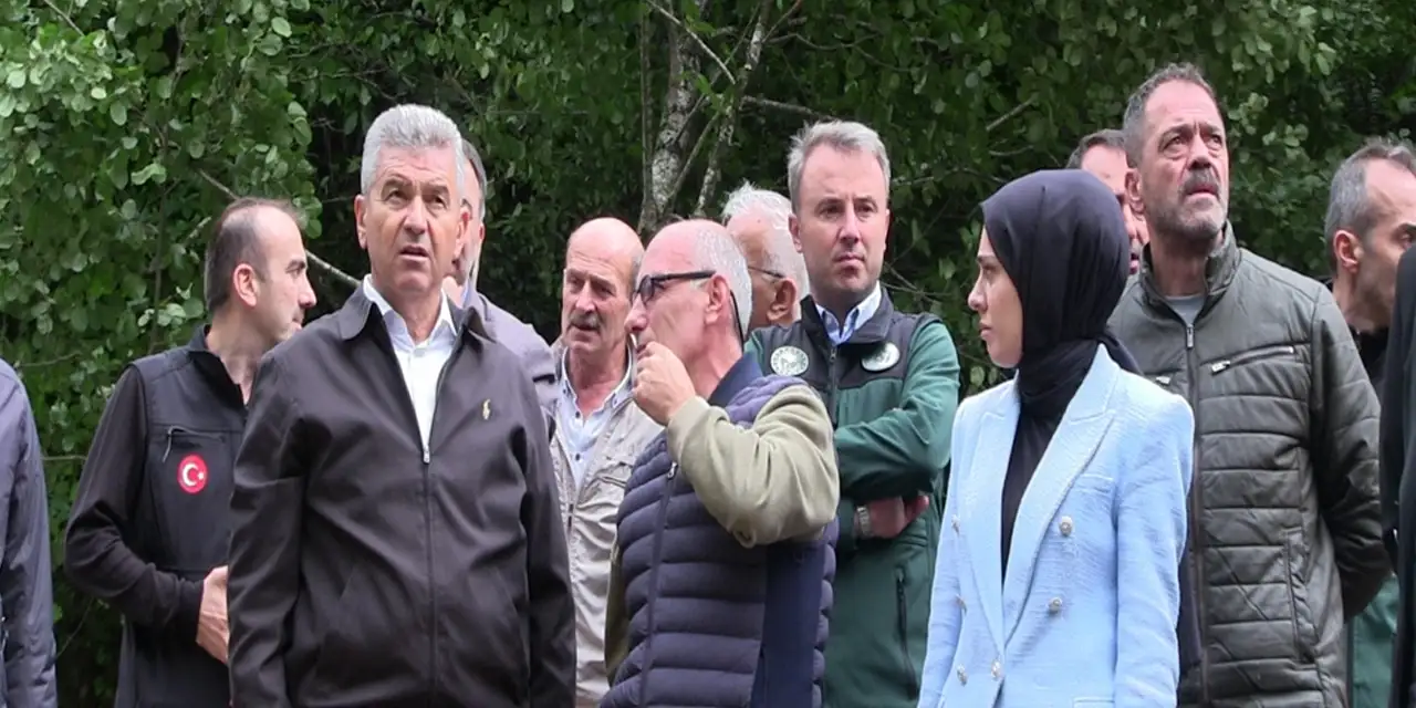 kayalar-kontrol-artvin-de