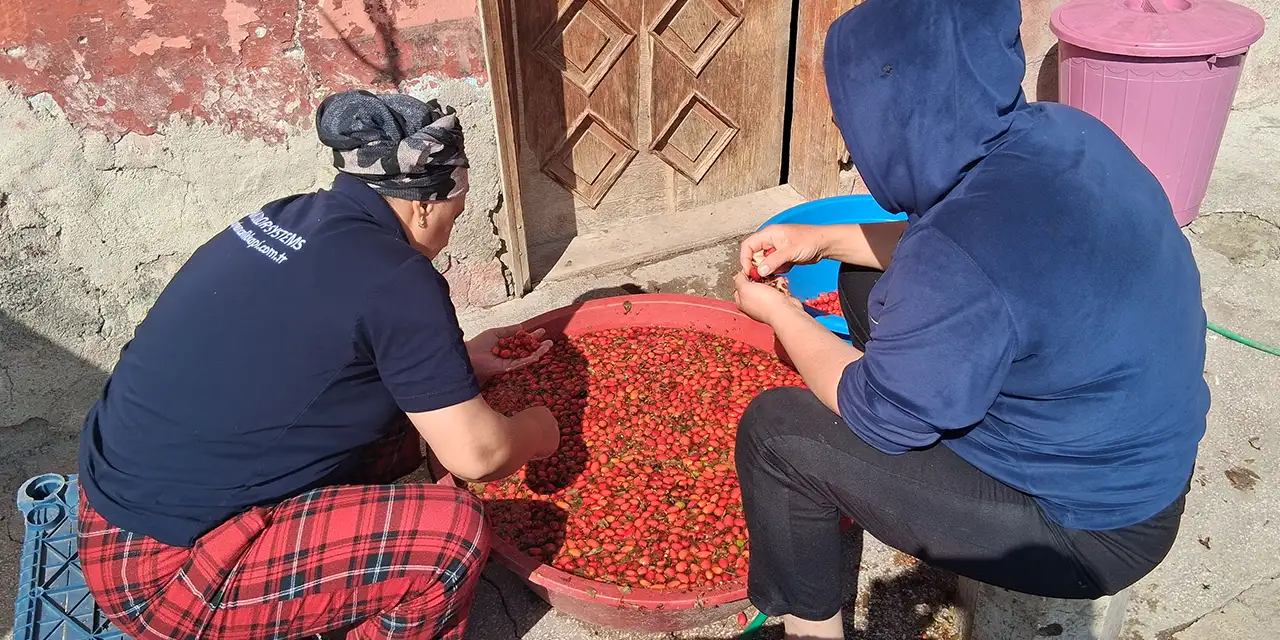 samsunda-kus-burnu-hassadd-i