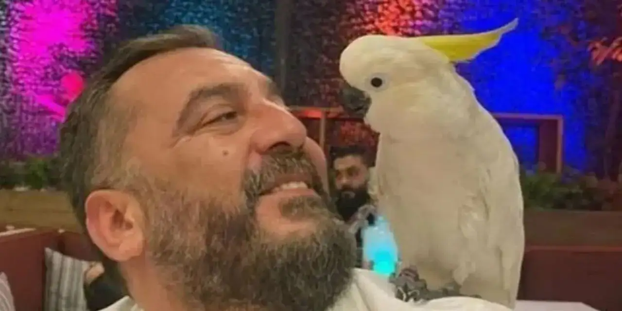 serdar-haydanli-kimdir