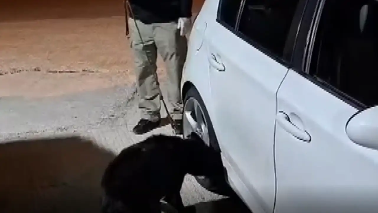 samsun-araba-kontrol