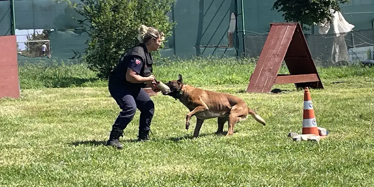 traabzon-arama-kurtarma-akoperhi