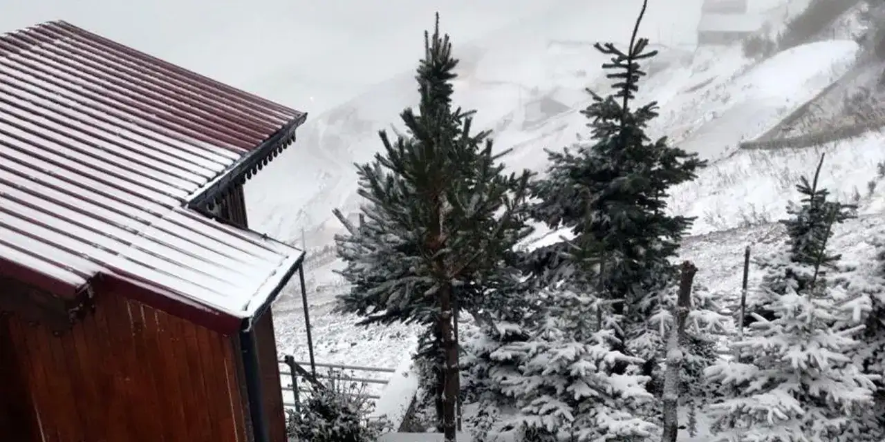 babyruttun-yukse-kekeimslerinew