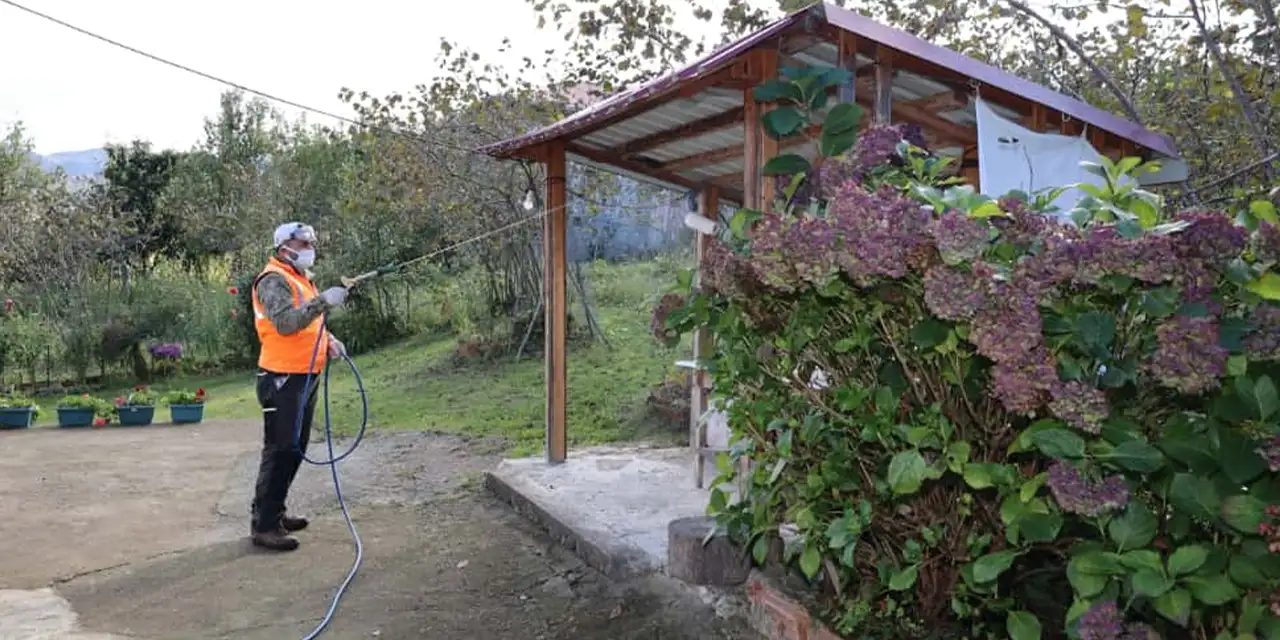 arsin-belediyesi-kahverengi-kokarca-ilaclama