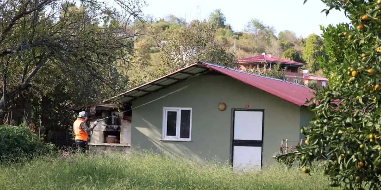 kahverengi-kokarca-arsin-belediyesi