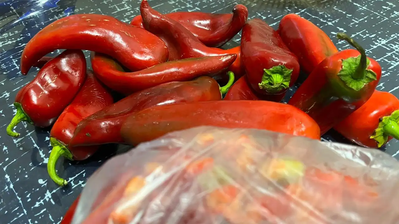 kislik-kirmizi-biber