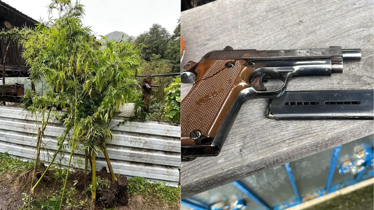 artvin-uyusturucu-operasyonu