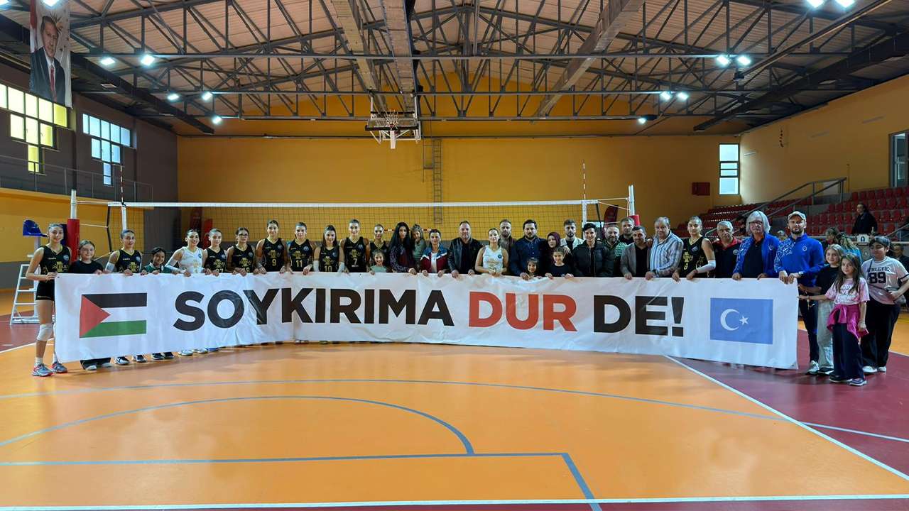 voleyboll