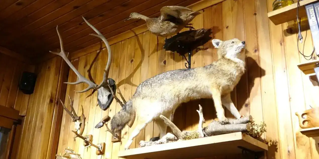 giresunda-bulunan-bir-kafe