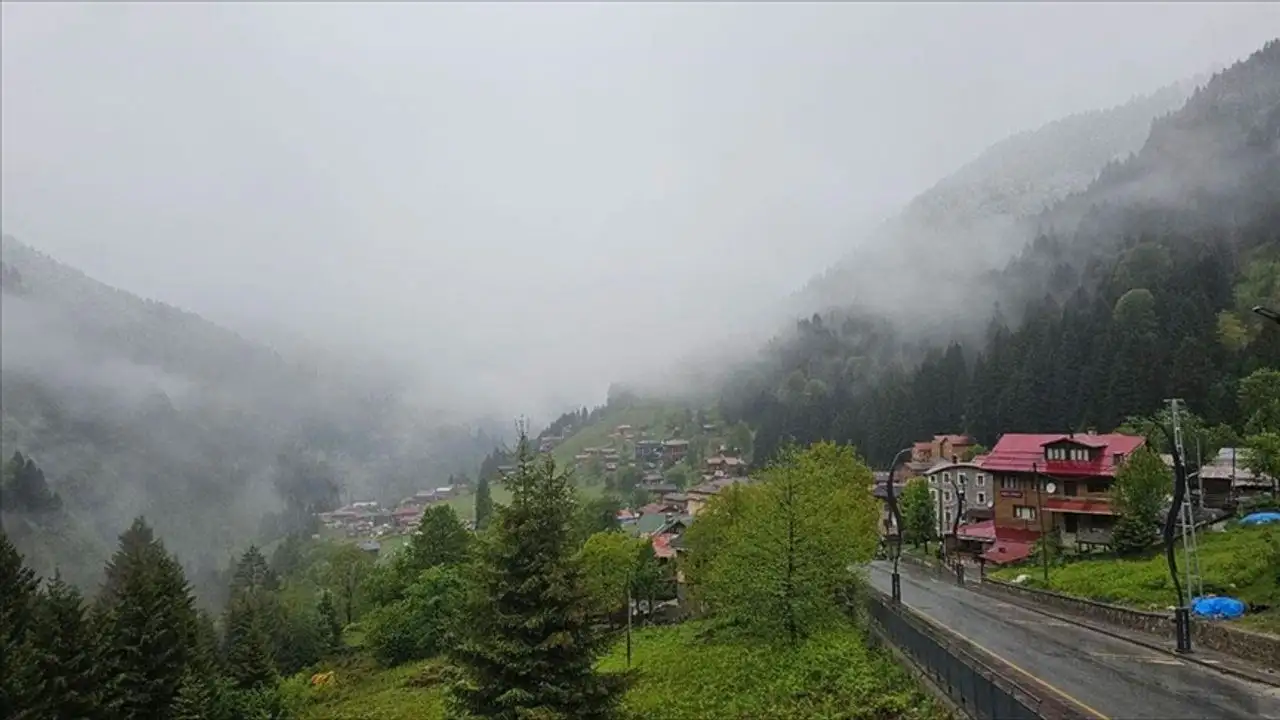 rize-yagmur
