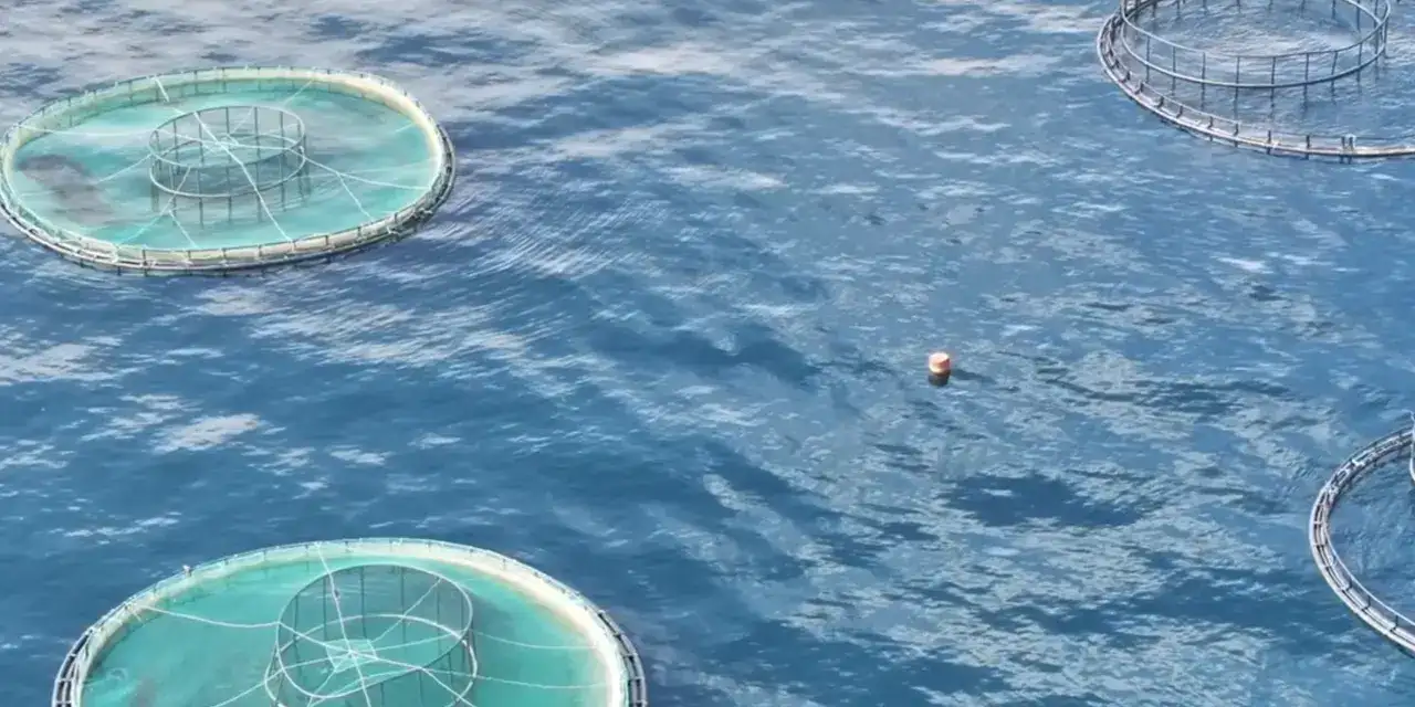 trabzondan-9-ayda-dev-ihracat