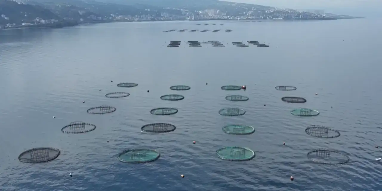 trabzondan-9-milyarlik-dev-ihracat