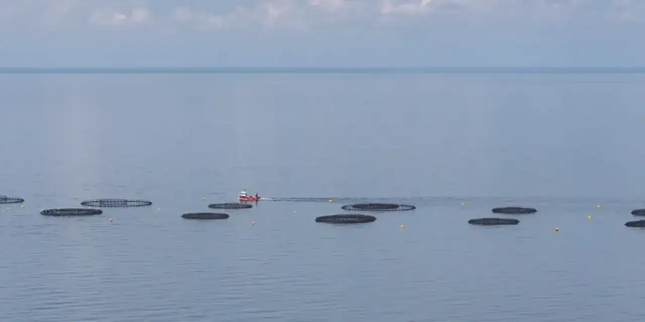 trabzondan-dev-ihracat