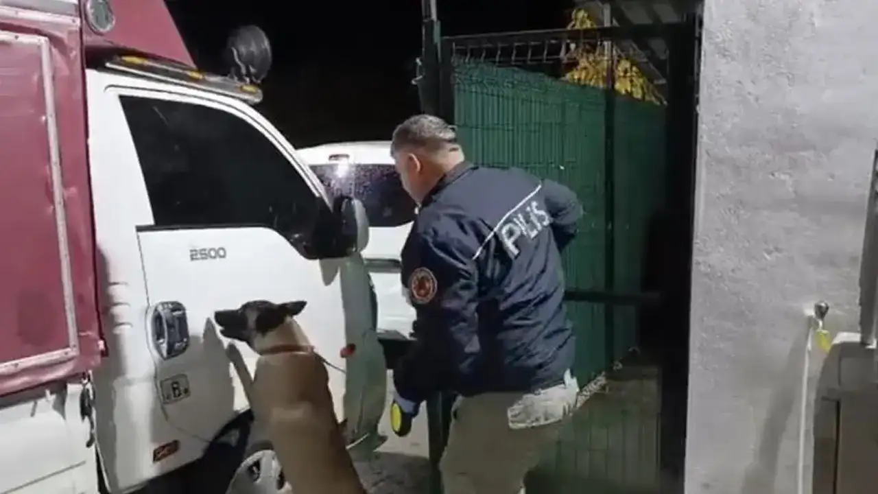 samsunda-kilolarca-uyusturucu-dedektor-kopekten-kacamadi