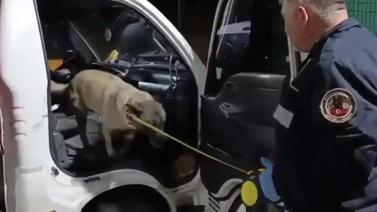 samsunda-kilolarca-uyusturucu-dedektor-kopekten-kacamadi