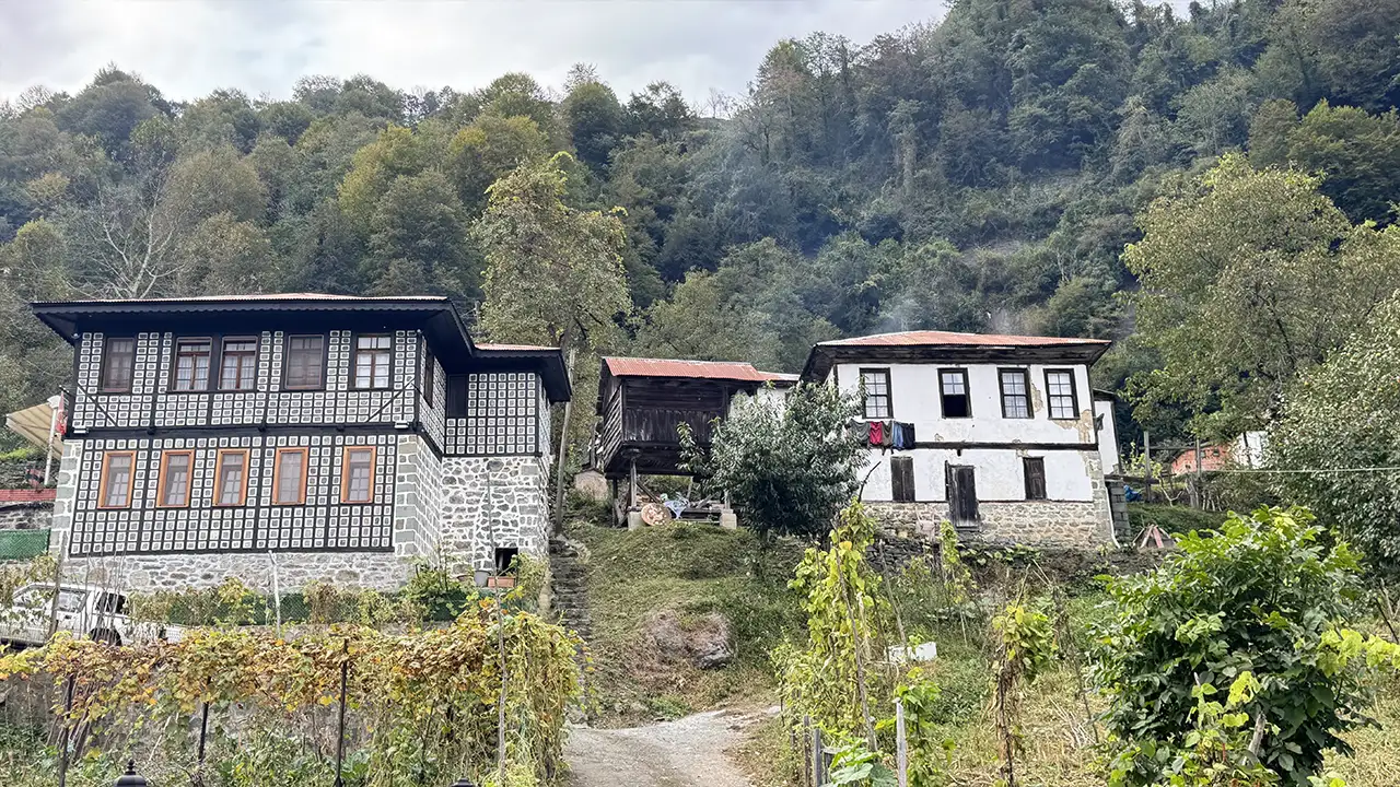 artvin