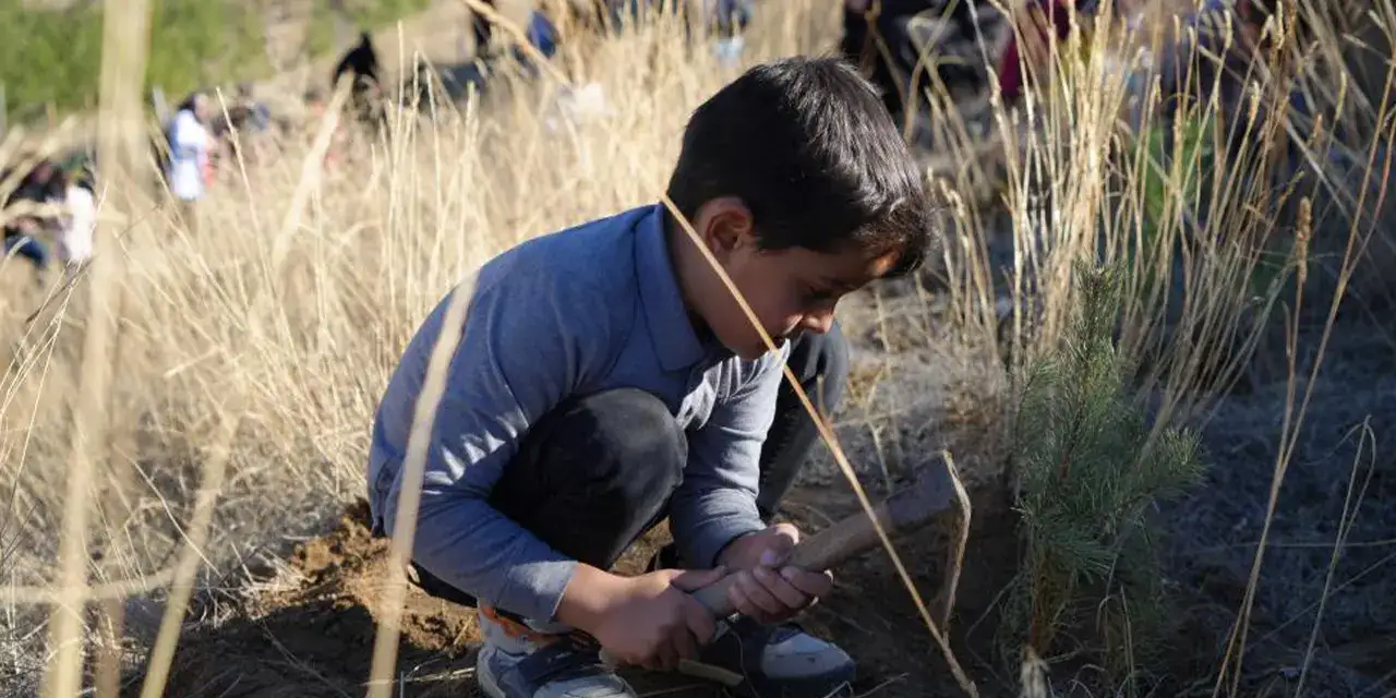 bayburtta-fidan-dikimi