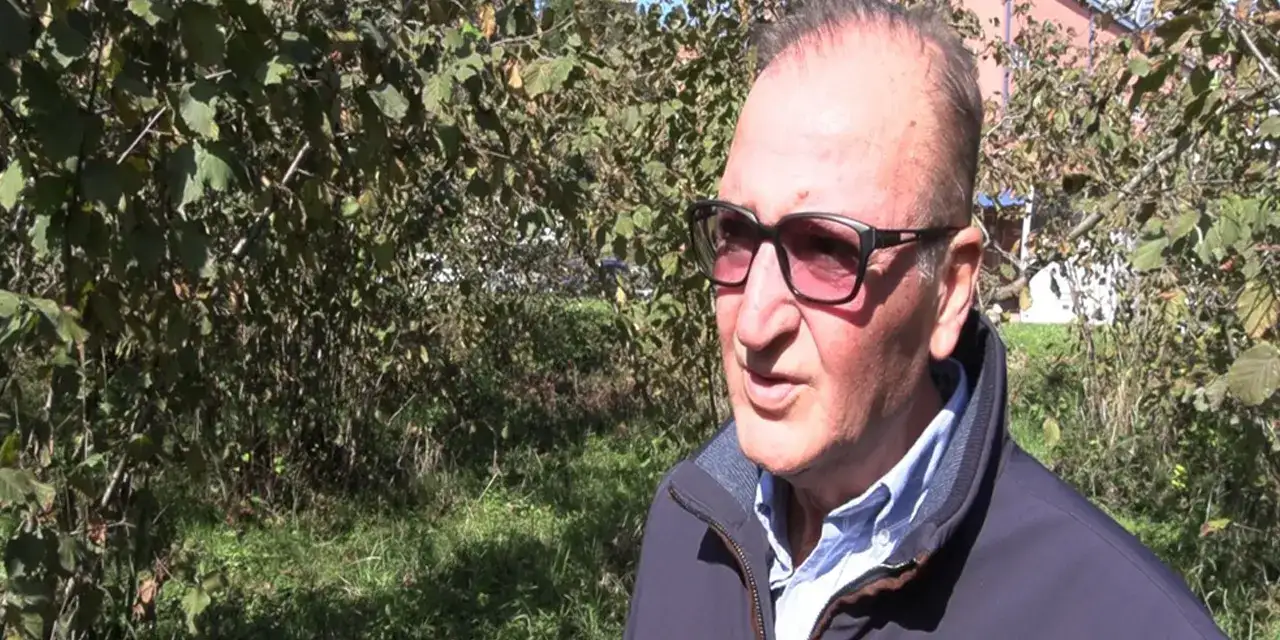 findikta-alarm-kurakliks