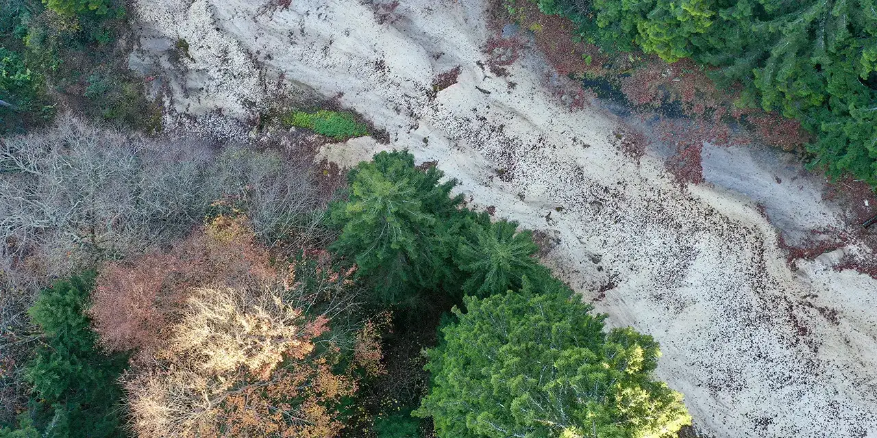 giresunda-renkler-buluyor