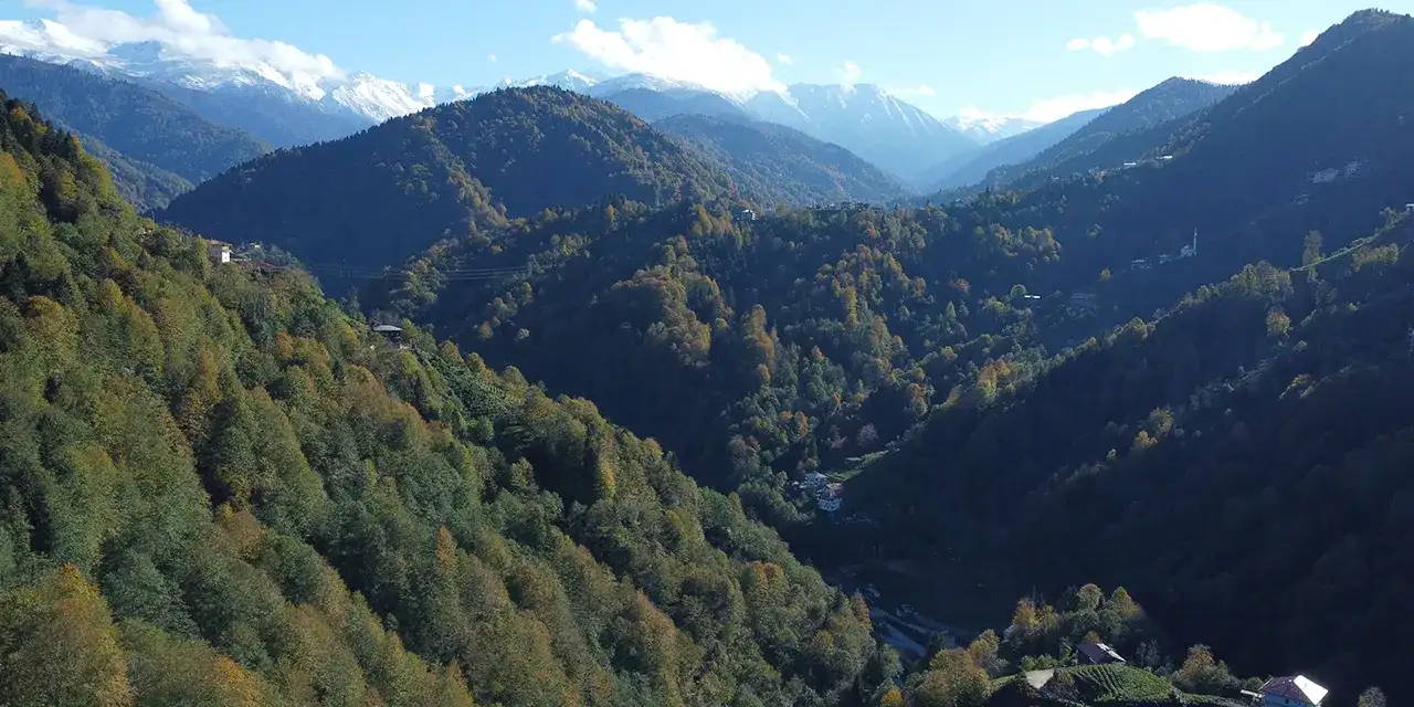 rizede-gerceklestirilecek