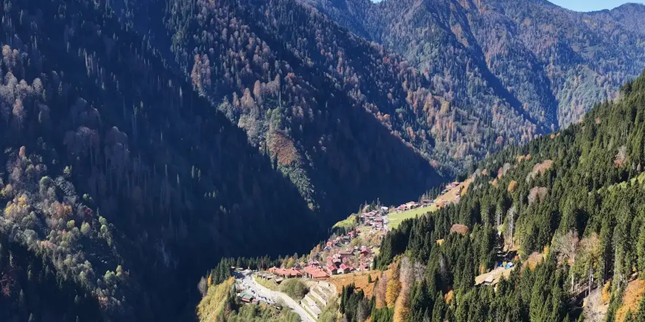 rizede-sonbahar-renklerine-burundu