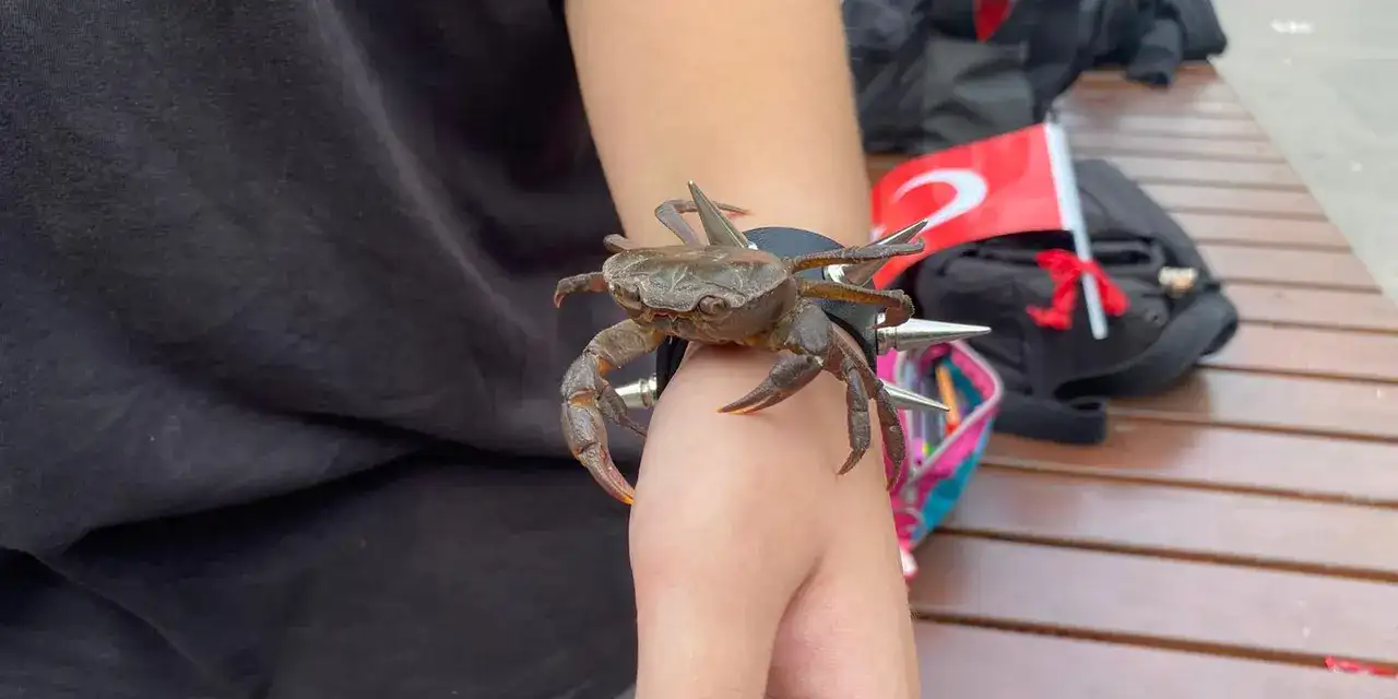 trabzon-hayvan-sevgisii