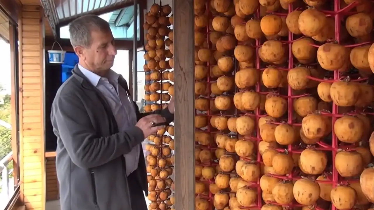 trabzon-hurmasi-yapiyorr