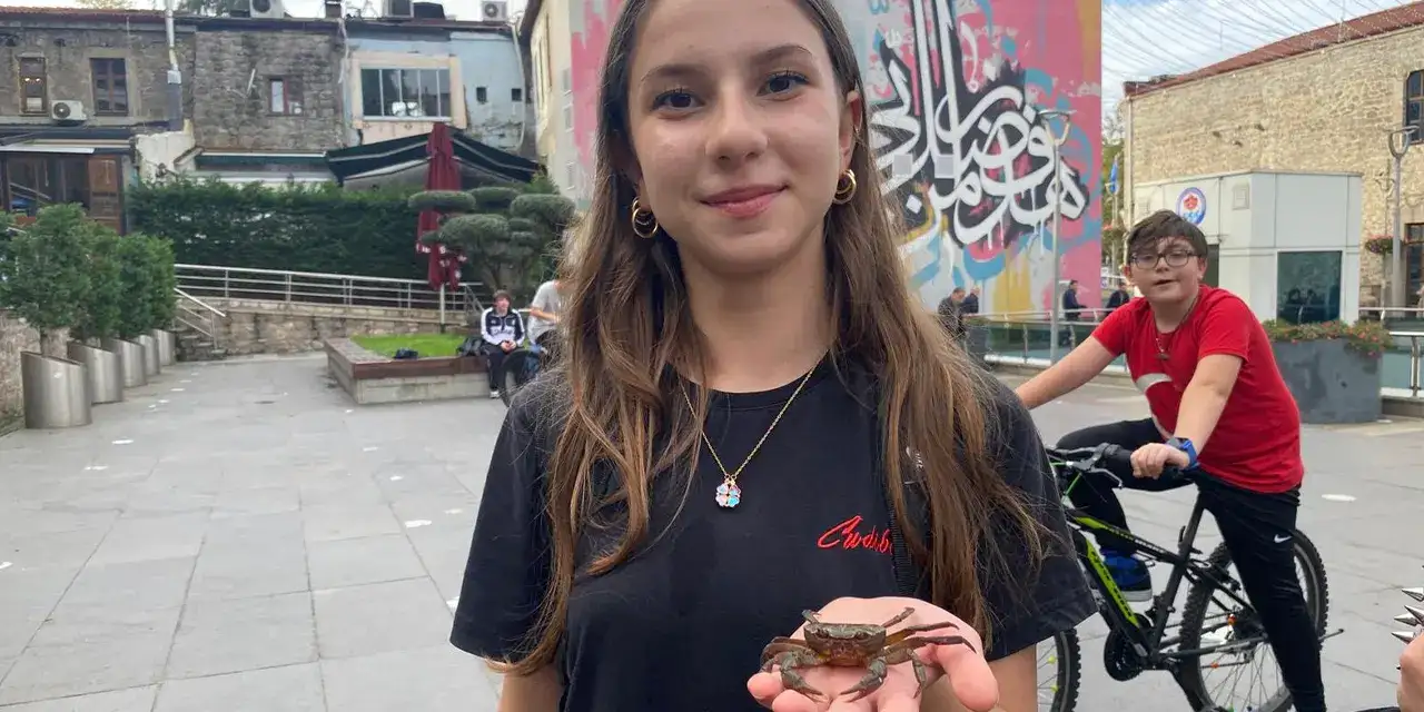 trabzonda-hayva-nsevgisii-i