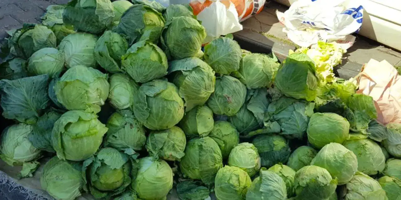 giresunda-lahan-hirsizligi