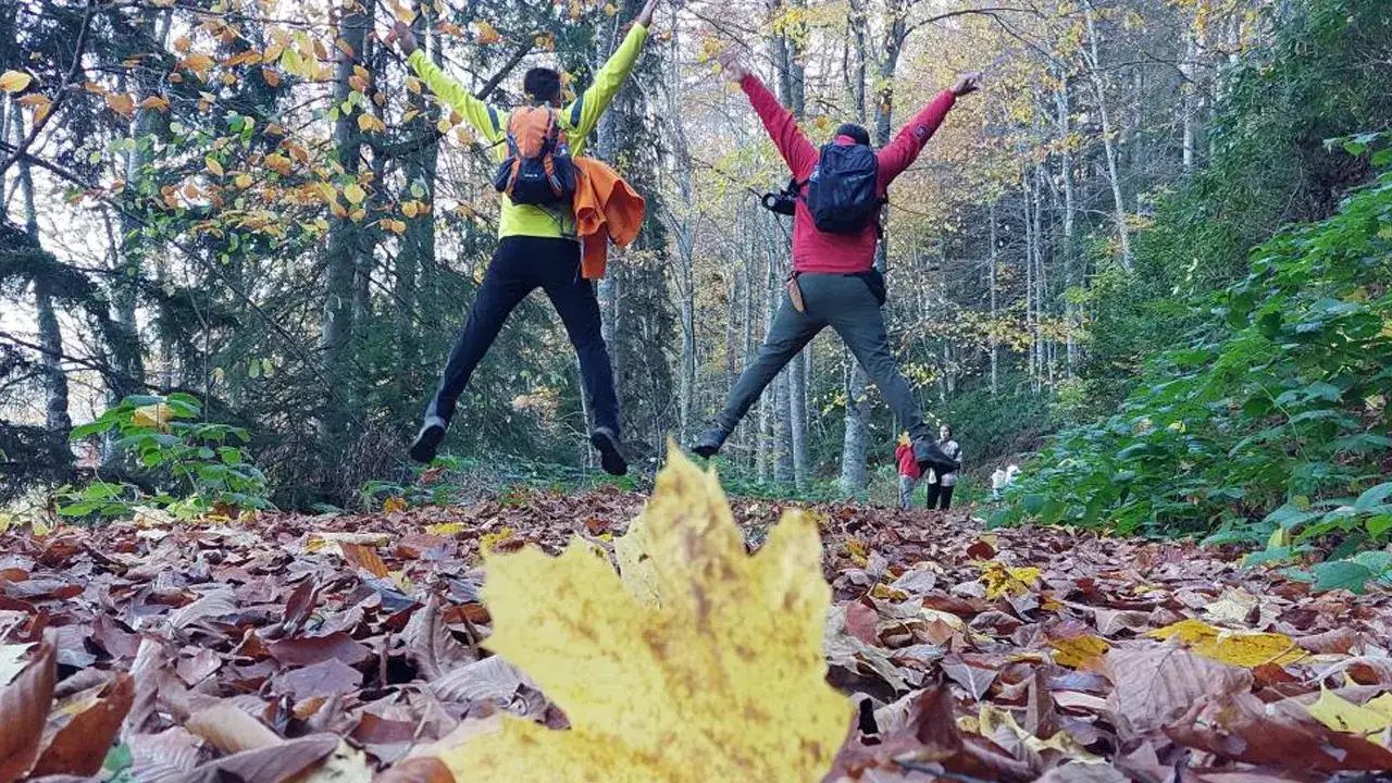 gumushanenin-dogal-agac-muzesine-yogun-ilgi