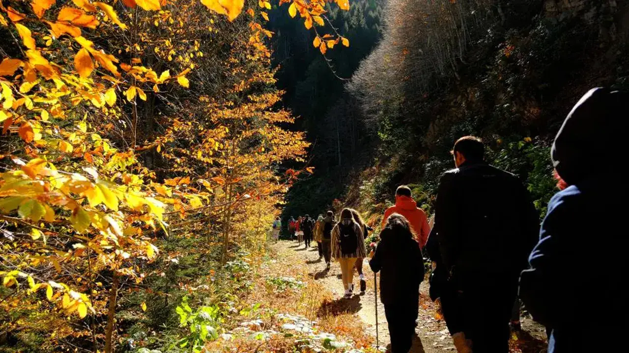 gumushanenin-dogal-agac-muzesine-yogun-ilgi