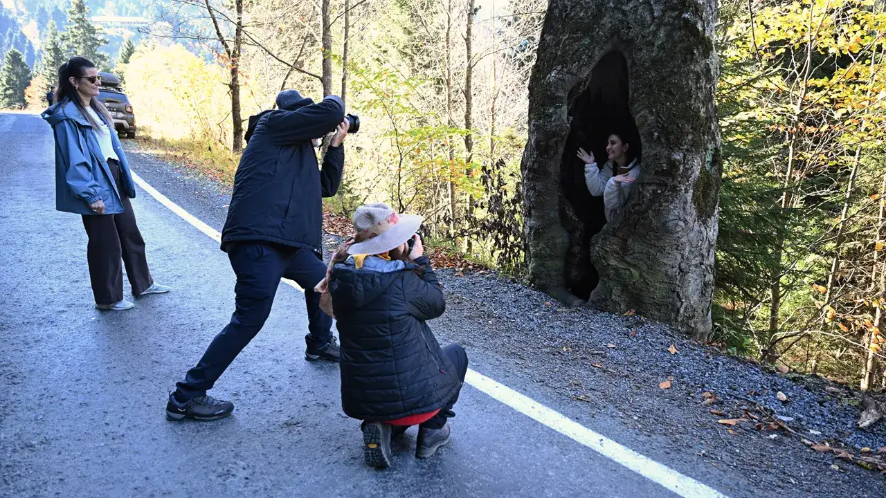 trabzondaki-oyuk-agaclar-dikkat-cekiyor