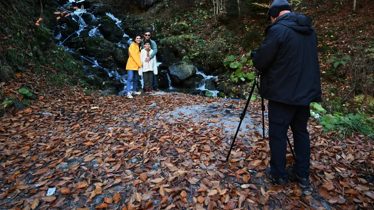 trabzondaki-oyuk-agaclar-dikkat-cekiyor