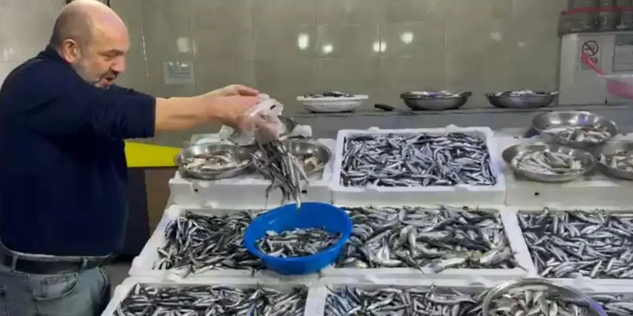 rizede-baligin-kilosu-dikkat-cekti