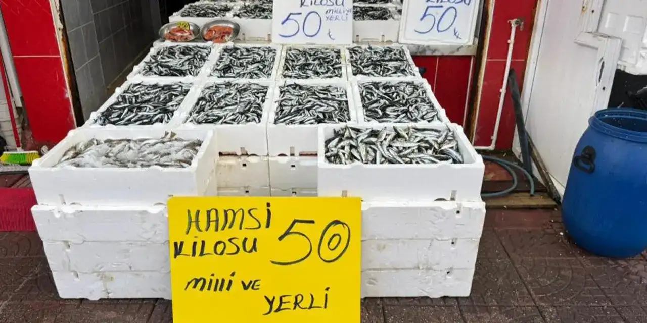 rizede-baligin-kilosuu