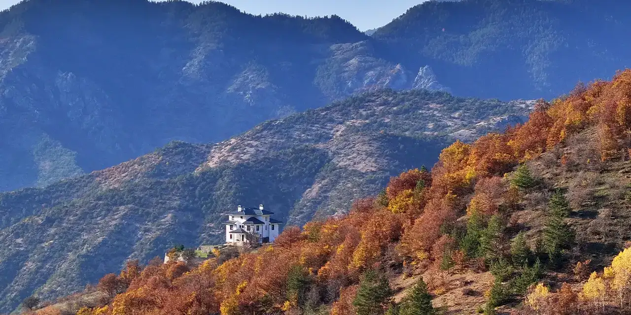 zigana-koyunde-renk-cumbusuuu-aa