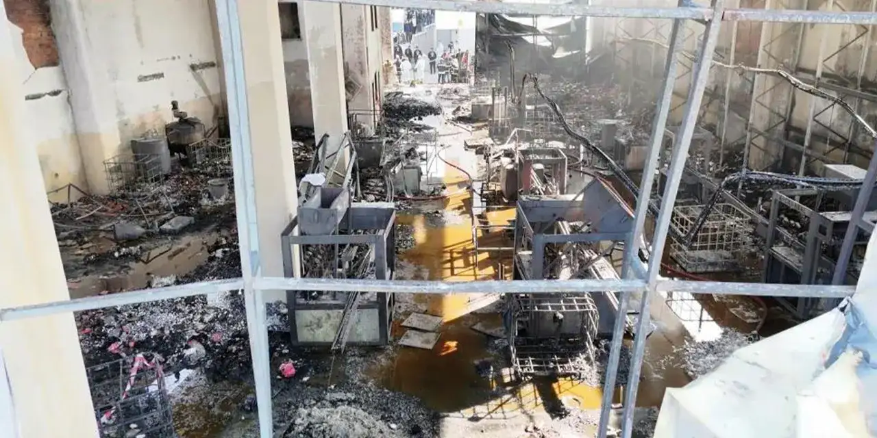 olenlerin-kimlikleri-bell